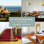 A Vianesa - 3*