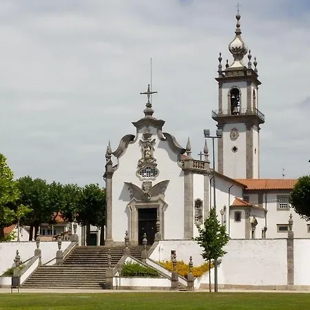 A Vianesa -